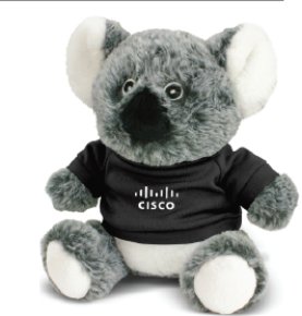 Koala Plush Toy - Black Tee